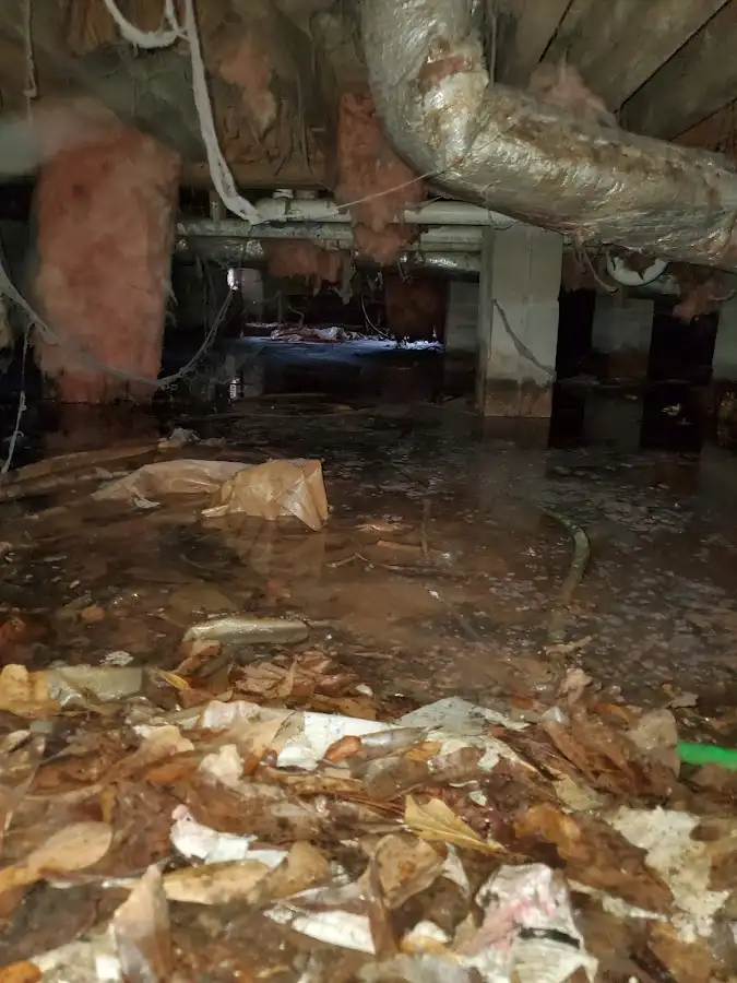 Crawl space flood assessment for Leak Detection & Repair in Davenport